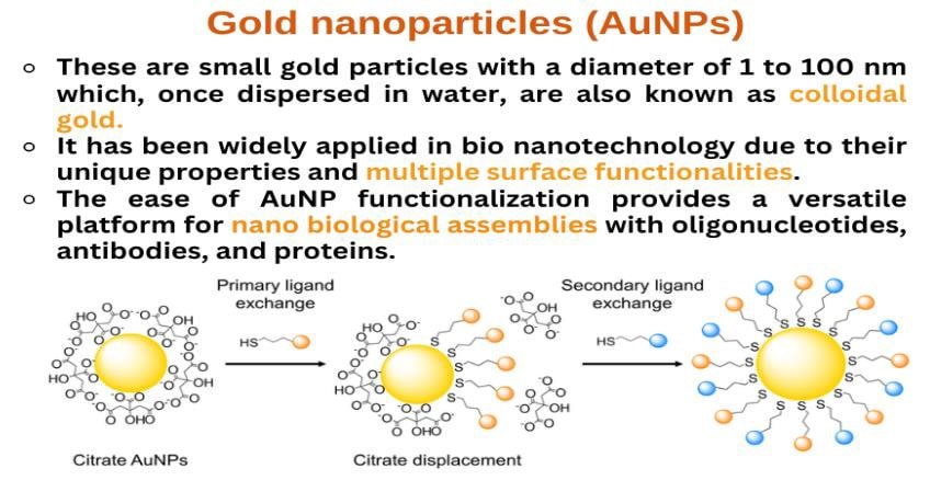 Cordy Gold Nanoparticles