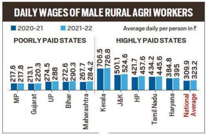 Rural Daily Wages